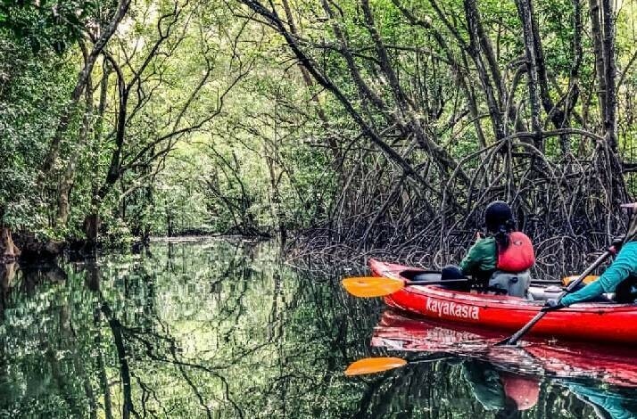 Participants on a private Kayak tour Singapore drifting along a river surrounded by trees.